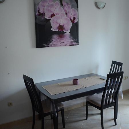 Apartments Nika ザダル エクステリア 写真